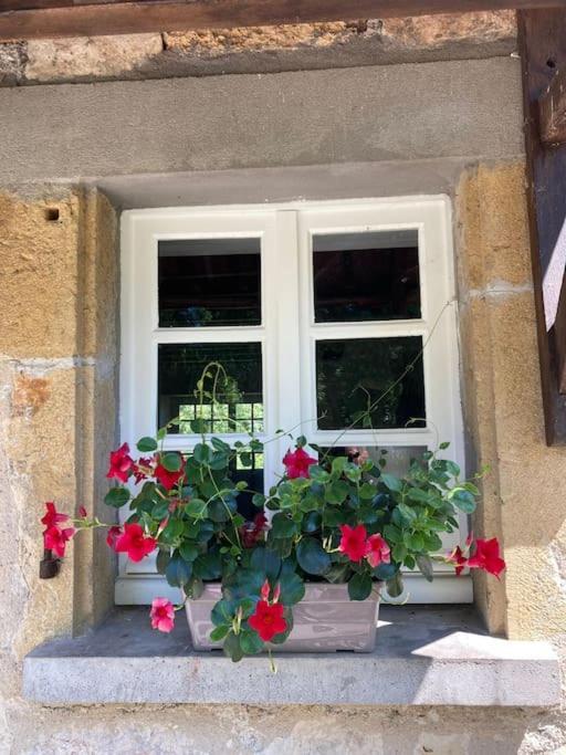 Vakantiehuis La Poire, Op Landgoed Aan De Dordogne Prudhomat Kültér fotó